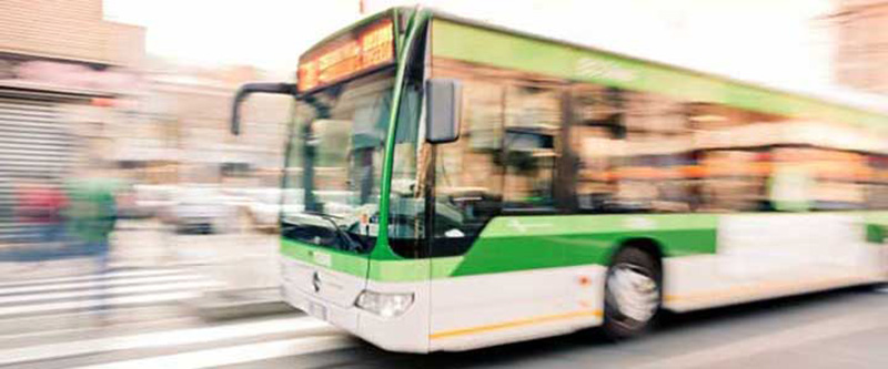 Buses available at Malpensa airport